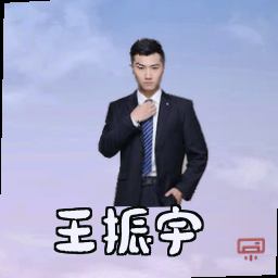 王振宇